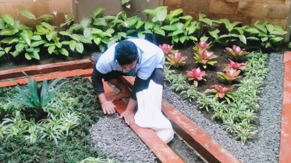 Tukang Taman Lamongan: Solusi untuk Transformasi Taman yang Mengesankan